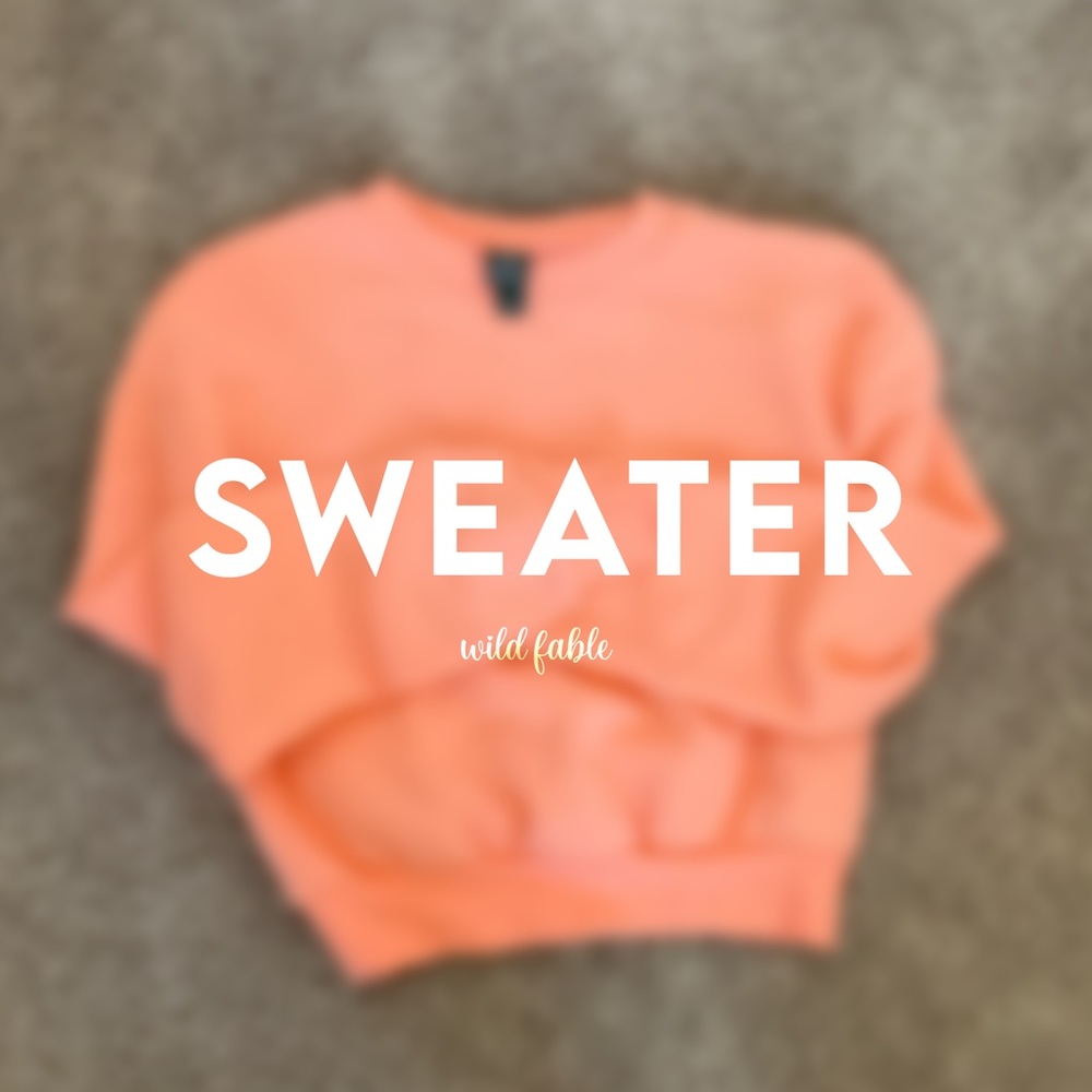 Wild Fable Coral Sweater
